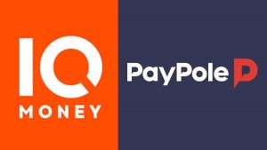 TCMB’den İki Ödeme Kuruluşuna Lisans İptali: IQ Money ve Paypole Devre Dışı