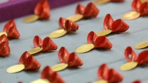 Gram Altın Rekor Serisine Devam Ediyor: 4.900 Lirayı Aştı!