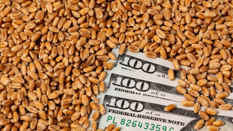 Güneydoğu Anadolu’dan Hububat İhracatında Rekor: 8 Ayda 2,3 Milyar Dolar