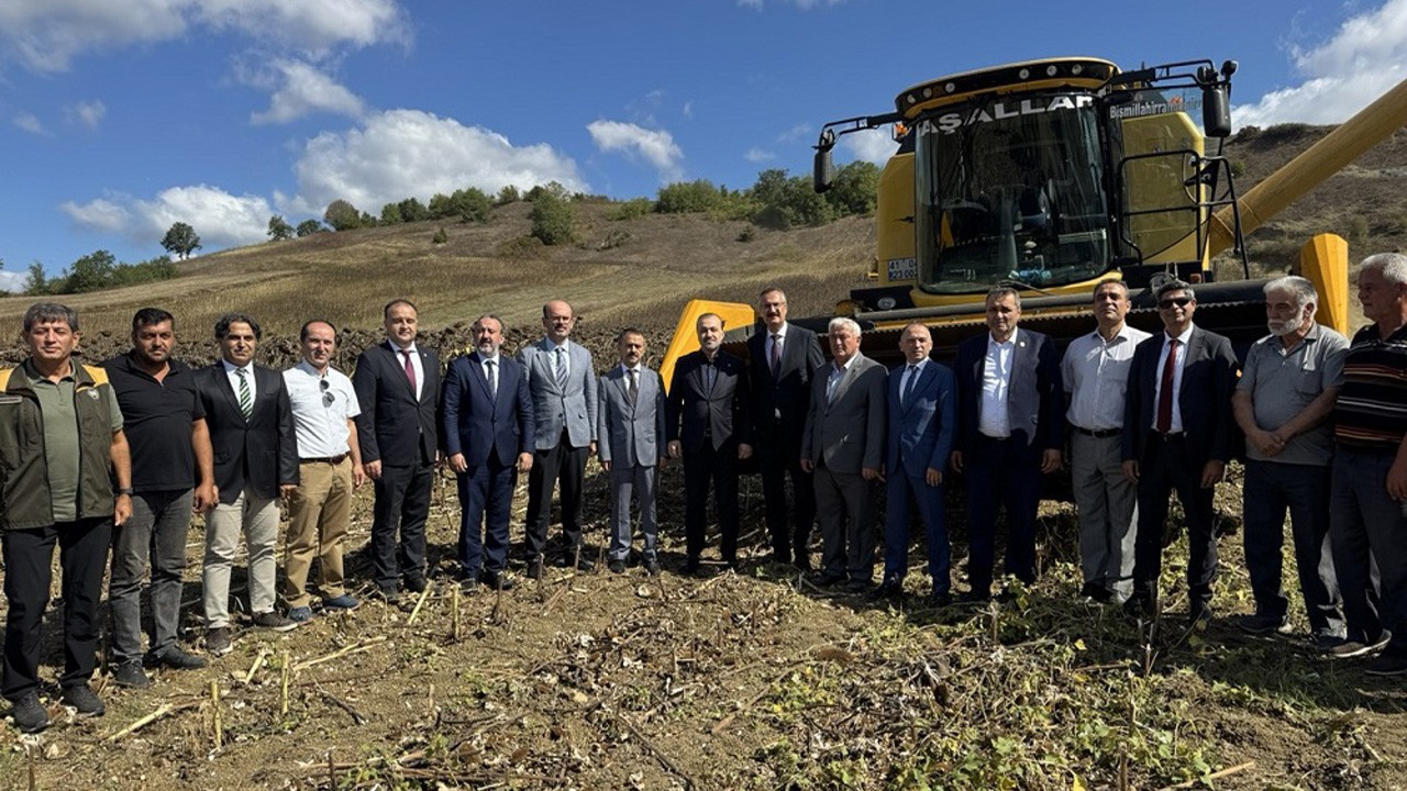 Kocaeli’de Yerli Hibrit Ayçiçeği Hasadı: Milli Tarımda Önemli Adım