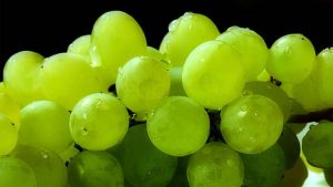 Türkiye’nin Çekirdeksiz Kuru Üzüm İhracatında Son 25 Yılın En Düşük Seviyesi