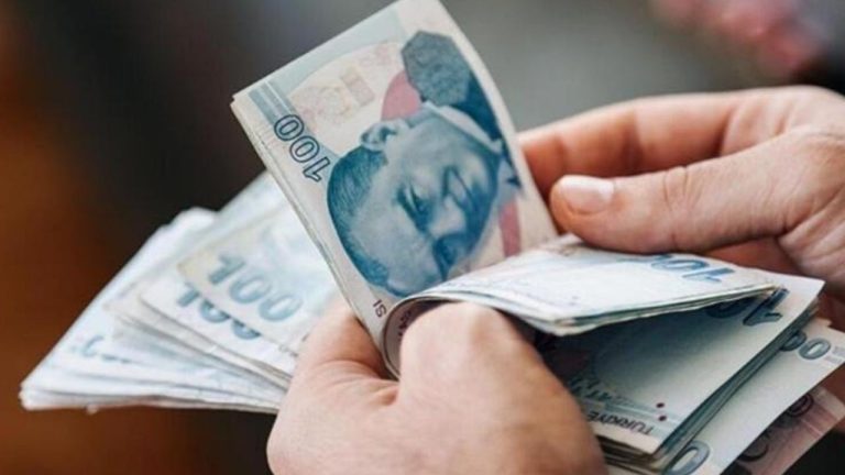 SED Ödemeleri Hesaplara Geçti: Çocuklara 1.433 Milyar TL Destek Sağlandı