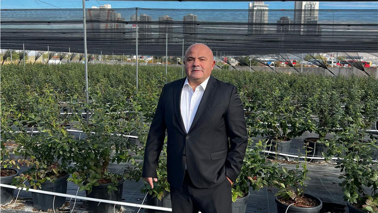 Mamak Çöplüğü’nden Yaban Mersini Tarlasına: Döngüsel Ekonomi Başarısı