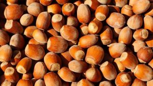 Tarım Kredi Fındık Alım Fiyatını Açıkladı: Üreticiye Piyasa Üstü Destek