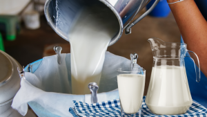 TÜSEDAD’dan Süt Sektörü Uyarısı: Algı Yönetimi Üreticiyi Tehdit Ediyor