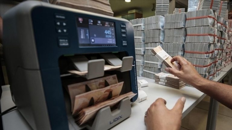 KİT’ler ve Kamu Bankalarından Hazineye 4,5 Milyar Liralık Katkı