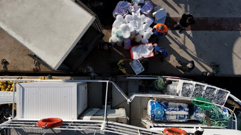 Ege’de Balıkçılar Tayfa Bulmakta Zorlanıyor: Maaşlar 80 Bin TL’ye Ulaştı
