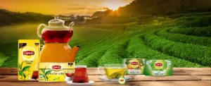 Lipton Türkiye Üretimini Sonlandırıyor: Tesisler Özgür Çay’a Devrediliyor