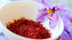 Amasya’da ‘Kırmızı Altın’ Safran Hasadı: Gramı 500 TL’den Alıcı Buluyor