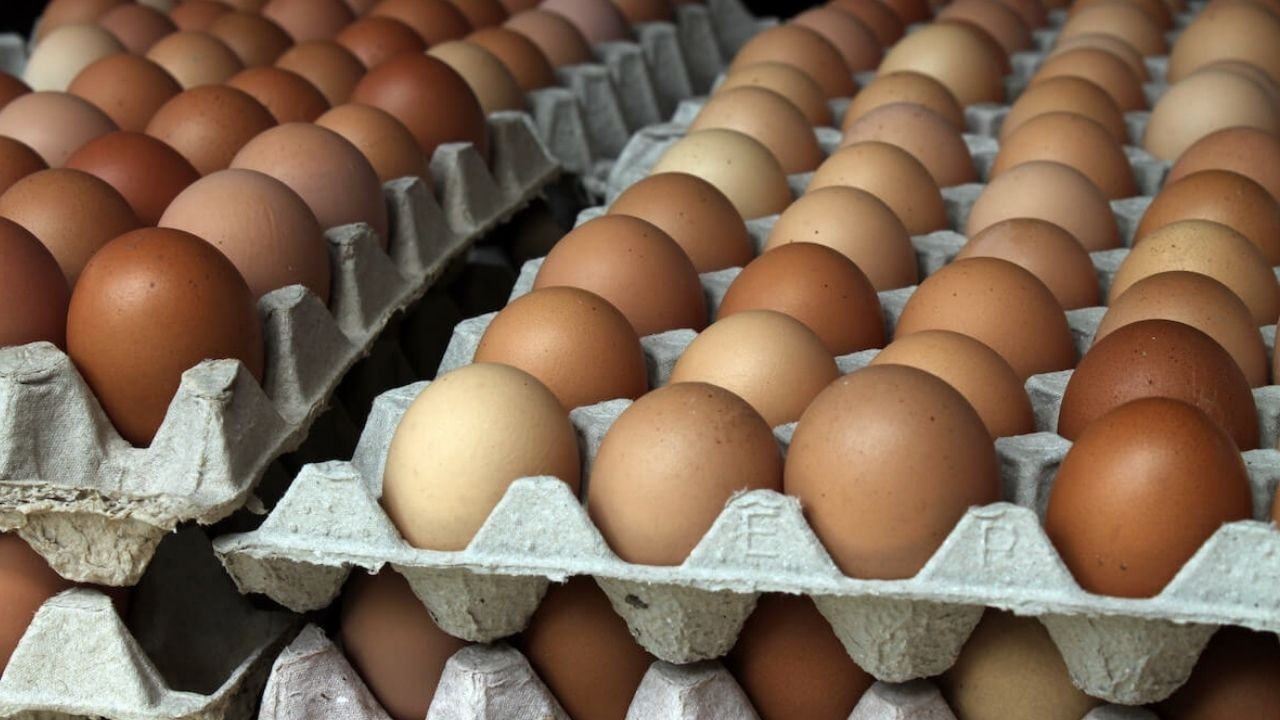 Yumurta Üretiminde Düşüş: Fiyatlar Artacak mı? Uzmanlardan Açıklama!