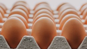 Yumurta Fiyatları Eylül’de Rekor Kırdı: Talep Artışı ve Kuş Gribi Endişesi