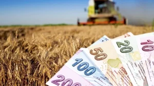 Çiftçiye 349 Milyon TL Destek Ödemesi Bugün Hesaplara Yatırılıyor