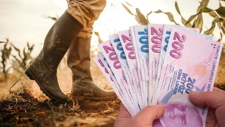 Çiftçi Destek Ödemeleri Hesaplara Yatırılıyor: 471 Milyon TL’lik Tarımsal Destek