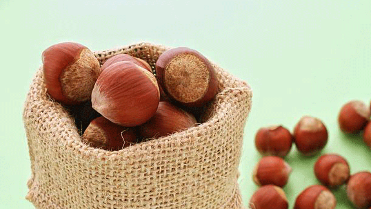 Düzce Fındık İhracatında Rekor Kırdı: Avrupa Birliği Pazarına Yoğun Talep