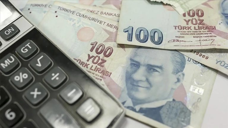 Bankacılık Sektörü Mevduatında Düşüş: TL Azaldı, YP Arttı