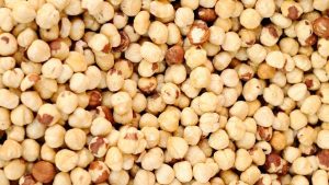 Türkiye Fındık İhracatında Hızlı Başlangıç: 146 Milyon Dolarlık Gelir Elde Edildi