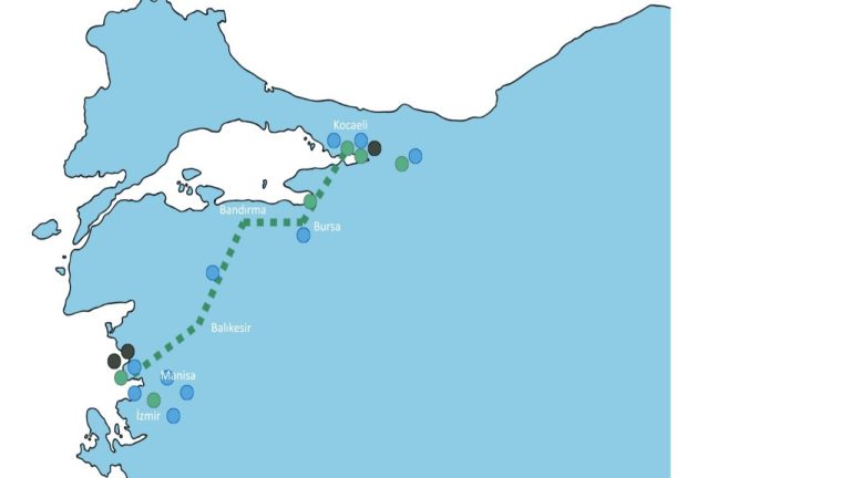Yeşil Hidrojen Üreticilerinden 500 Km Boru Hattı ile Kullanım Hamlesi