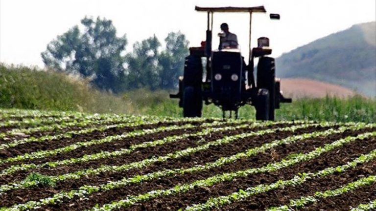 Tarım Sigortasında Dev Sıçrama: Bir Ayda 757 Bin Yeni Sigortalı Çiftçi