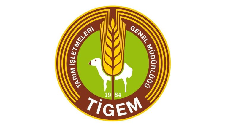 TİGEM’den Buğday Satışı: 2025 Üretimi 2 Bin Ton Buğday Lüleburgaz’da İhaleye Çıkıyor