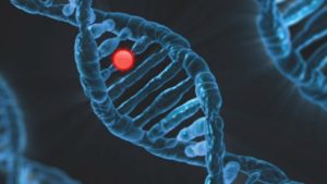 Genetik ve Ekonomik Başarı Arasında Bağlantı: Eğitim Fark Yaratabilir