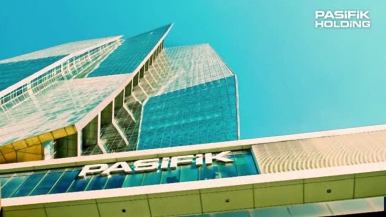 Pasifik Holding Halka Arzı: Lot Dağıtımı, Katılım Bankaları ve Detaylar