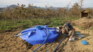 Ordu’da Fındıkta Verim Artışı: Damla Sulama Sistemiyle %40’a Varan Hedef