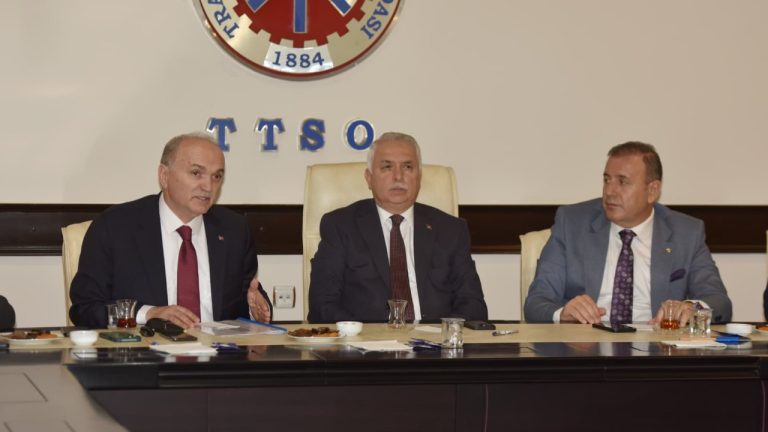 Trabzon Arsin Endüstri Bölgesi: 22 Bin İstihdam İçin Devlet Desteği Bekliyor