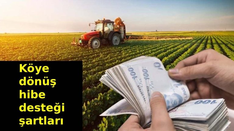 Köye Dönüş Hibe Desteği 2024: Tersine Göç Başvuruları Ne Zaman Başlıyor?