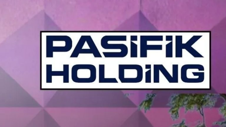 Pasifik Holding (PAHOL) Halka Arzı: Yatırımcılar İçin Fırsat mı, Risk mi?