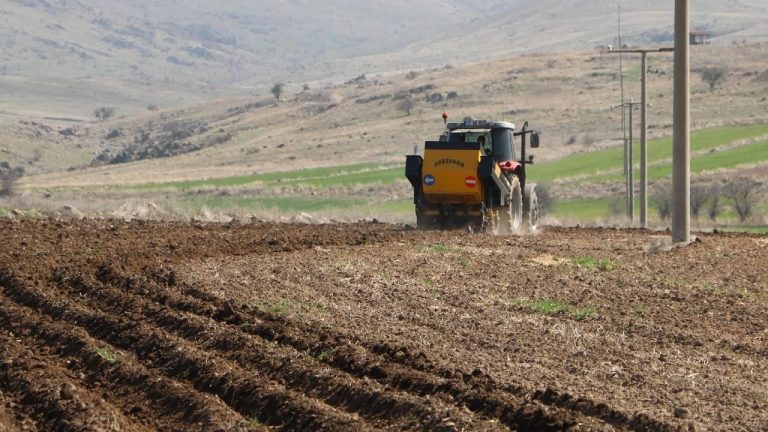 Tarım ve Gıda İhracatında Yavaşlama: İlk 9 Ayda Dış Ticaret Verileri