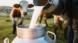 Süt Toplama Miktarı Eylül’de Azaldı, Süt Ürünleri Üretimi Arttı