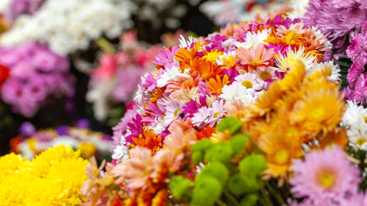 Çiçek Sektörü İhracatta Yüzde 15 Büyüme Kaydetti: Yeni Rekora Doğru