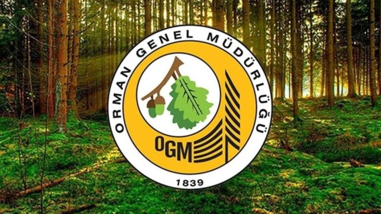 OGM 496 Personel Alımı: Başvuru Şartları, Kadro Dağılımı ve Süreç