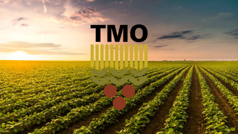 TMO Raporu: Yüksek Gübre Fiyatları Ekilişleri ve Üretimi Nasıl Etkiliyor?
