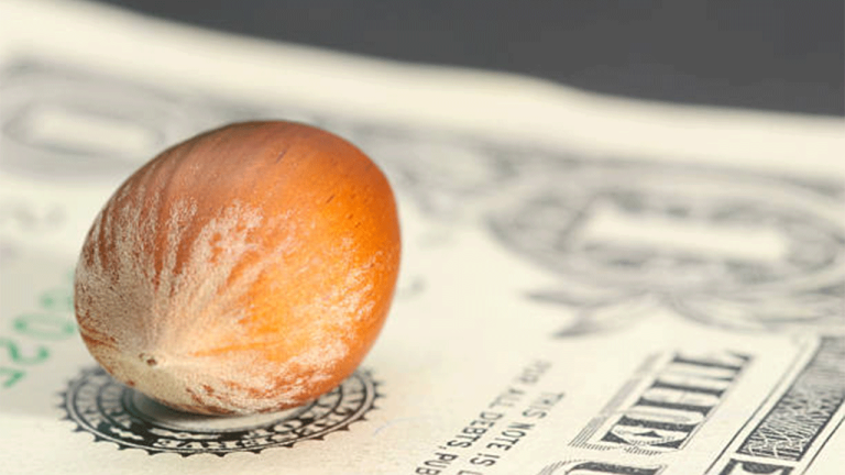 Fındık İhracatında Düşüş: Türkiye İki Ayda 351 Milyon Dolar Gelir Elde Etti