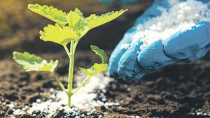 Gübre Piyasasında Daralma Alarmı: Fiyat Artışları Talebi Olumsuz Etkiliyor