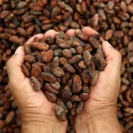 Emisyon Piyasalarında Jeopolitik Gelişmeler ve Enerji Fiyatlarının Etkisi