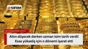 Altın Fiyatları için Uzmanlardan Önemli Tahmin: Esas Yükseliş Ne Zaman?