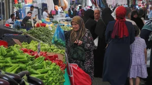 Mayıs Ayında Meyve ve Sebze Fiyatları Şaşırttı: En Çok Tüketilen Ürünler ve Fiyatları
