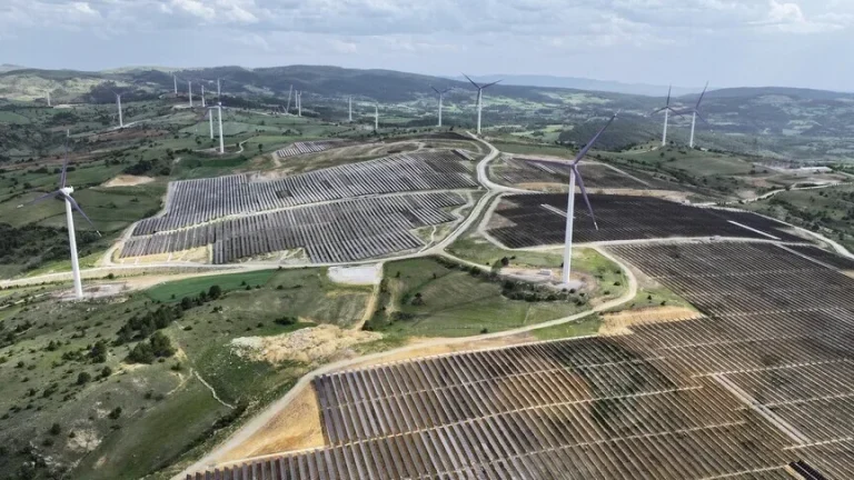 Yenilenebilir Enerjide Rekor: 2030 Hedefinin Yarısına Ulaşıldı