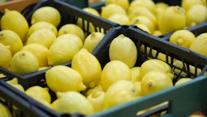 Tarımda Dikkat Çeken Değişim: Limon İhracatındaki Gelişmeler