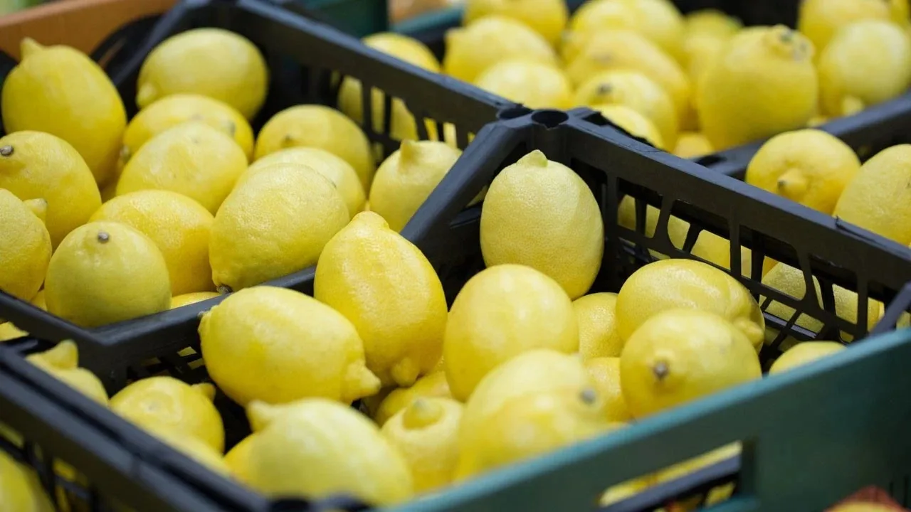 Tarımda Dikkat Çeken Değişim: Limon İhracatındaki Gelişmeler