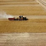 Tarımsal Desteklerde Yeni Düzenleme: Mazot ve Gübre Maliyetleri Göz Önünde Bulundurulacak