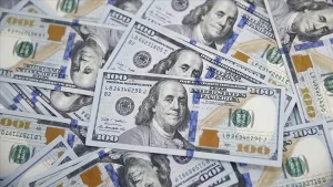 Doların Değeri: Zayıf Veriler ve Yüksek Faiz Desteği