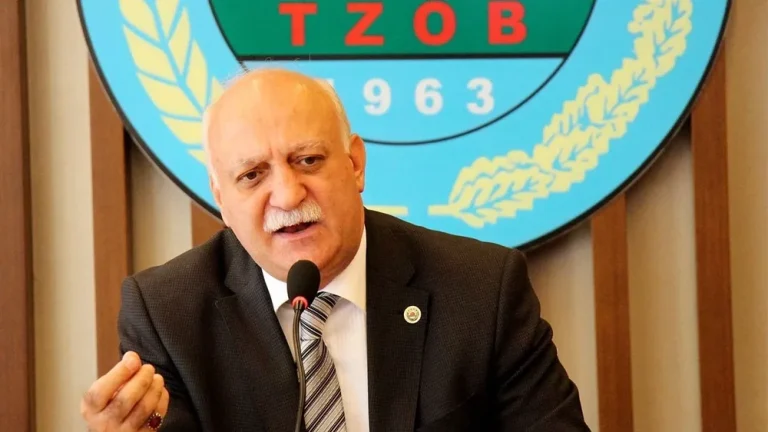 Tarımsal Üretimi Etkileyen Doğal Afetler: Zarar Gören Üreticilere Destek Gereksinimi