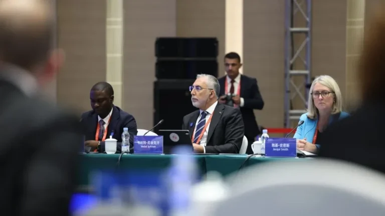 Türkiye’nin “Yaşam Boyu Becerileri” vizyonu: Yapay zekâ destekli istihdam politikaları ve uluslararası iş birliği