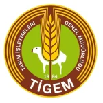 TİGEM 675 Reforme Küçükbaş Hayvanı 270 TL/kg Muhammen Fiyatla Açık Artırmaya Sunuyor
