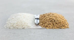 Ticaret Bakanlığı’nın Pirinç ve Çeltik İthalatına Getirdiği Gözetim Kararı ve Sektörel Etkileri